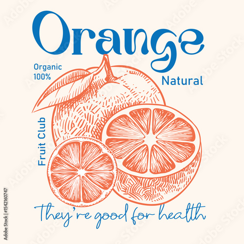 Oranges fruit artwork. Fresh orange fruit print. Nature fruit club print design. Organic food artwork for for women's print design, kids and men's t-shirt design. Organic farm poster design. 