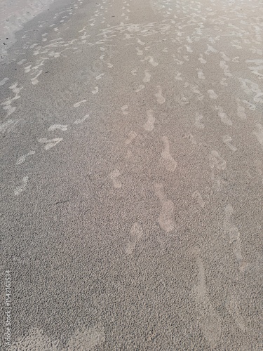 Flip-Flop Footprints on Wet Sand at Karon Beach, Phuket, Thailand