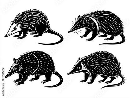 tenrec sihouette black vector bundle