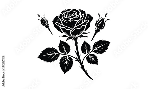 Silhouette Rose, Rose Silhouette Isolated on White Background