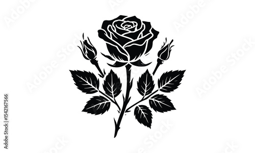 Silhouette Rose, Rose Silhouette Isolated on White Background