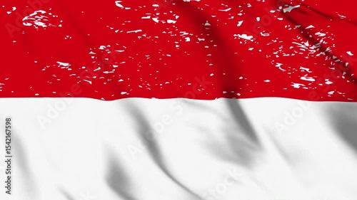Realistic Indonesian Flag Video, Waving Indonesia Flag in HD Resolution