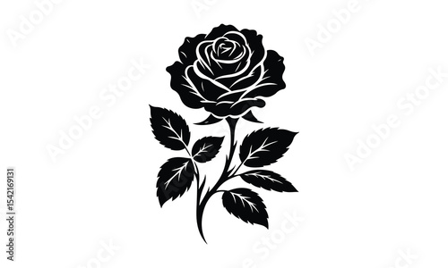 Silhouette Rose, Elegant Rose Silhouette Isolated on White Background