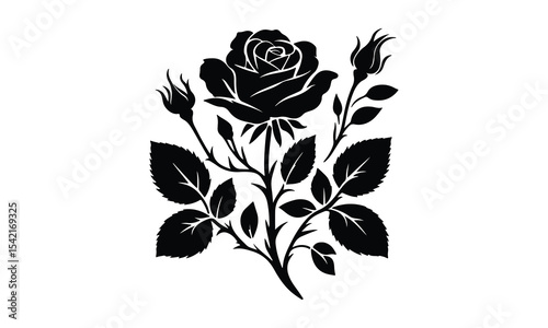Silhouette Rose, Elegant Rose Silhouette Isolated on White Background