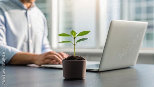 A person works on a laptop beside a small potted plant, symbolizing growth and harmony in a modern workspace.