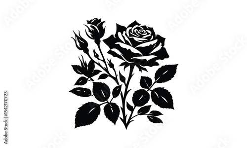 Silhouette Rose, Elegant Rose Silhouette Isolated on White Background