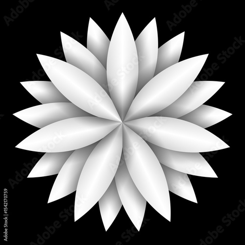 Simple white flower isolated on black background.