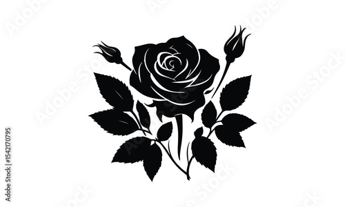 Silhouette Rose, Elegant Rose Silhouette Isolated on White Background