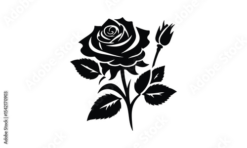 Silhouette Rose, Elegant Rose Silhouette Isolated on White Background