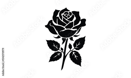 Silhouette Rose, Elegant Rose Silhouette Isolated on White Background