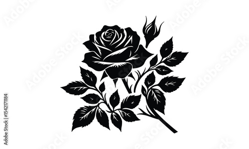 Silhouette Rose, Elegant Rose Silhouette Isolated on White Background