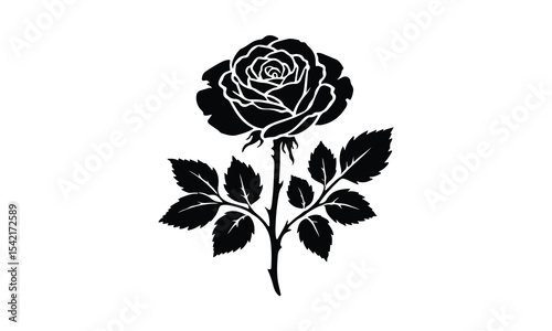 Silhouette Rose, Elegant Rose Silhouette Isolated on White Background