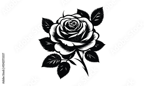 Silhouette Rose, Elegant Rose Silhouette Isolated on White Background