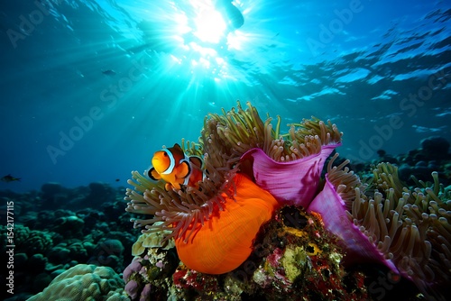 Vibrant Orange and Purple Sea Anemone with Ocellaris Clownfish Underwater Sunlight Ocean Coral Reef Scene