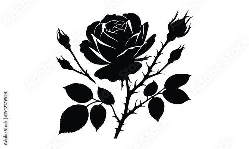 Rose Silhouette, Elegant Rose Silhouette Isolated on White Background