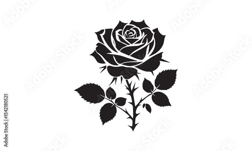Rose Silhouette, Elegant Rose Silhouette Isolated on White Background