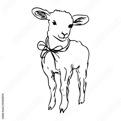 standing lamb with bow looking at viewer, hand drawn black vector on white background, spring farm animal concept, easter nursery decor, children's illustration