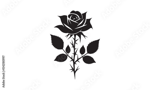 Rose Silhouette, Elegant Rose Silhouette Isolated on White Background