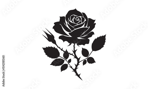 Rose Silhouette, Elegant Rose Silhouette Isolated on White Background
