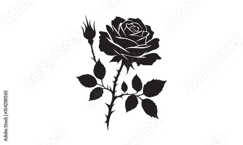 Rose Silhouette, Elegant Rose Silhouette Isolated on White Background
