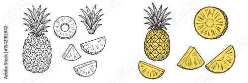 Pineapple and its slices illustrated with both color and black and white variations on a clean background