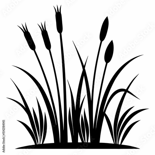 reeds silhouette vector black on white background