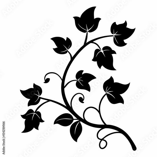 vine plant silhouette vector black on white background