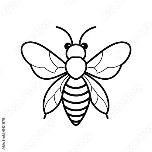 Bee insect line art vector illustration