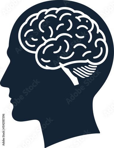 Human Brain Anatomy Understanding the Mind's Complex Structure
