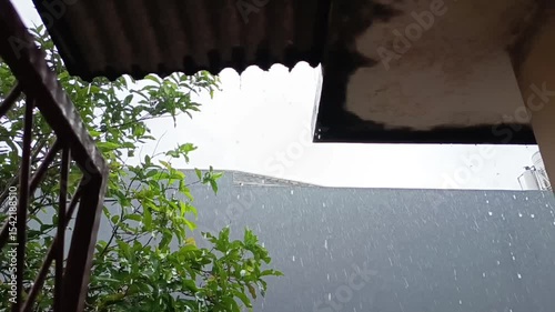 The view when it rains during the day in the yard feels fresh and cool and the raindrops are very calming