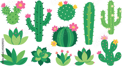 Whimsical Cactus and Succulent Collection A Delightful Desert Garden Illustration with Blooming Flowers and Varied Greenery