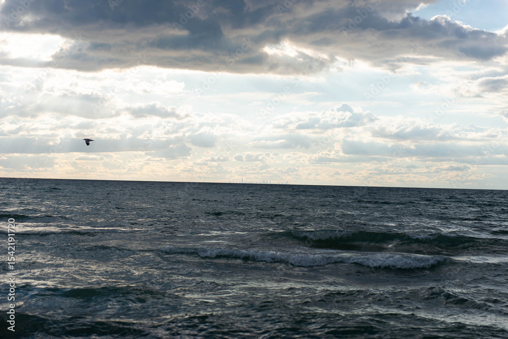 Obraz premium Moody view of Chicago skyline over Lake Michigan with flying bird and dramatic clouds