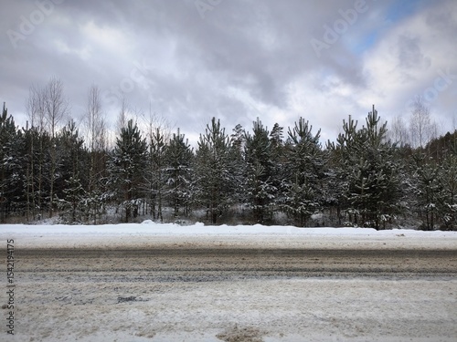 Wallpaper Mural Winter landscape with snow-covered forest trees along an asphalt highway. snow-covered pine trees along the highway. Winter road with snow Torontodigital.ca