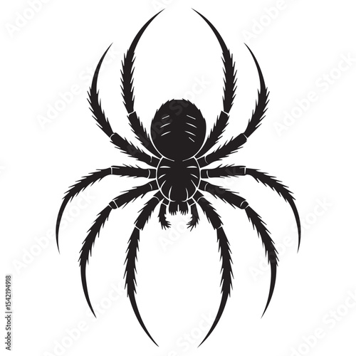 Detailed Spider Silhouette Vector for Halloween or Nature Design