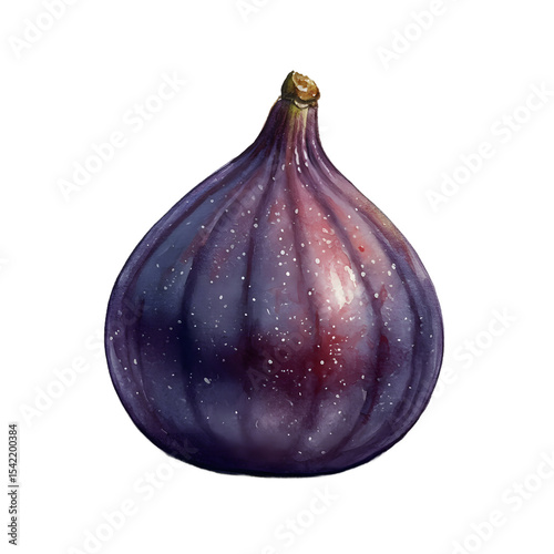 Vibrant Watercolor Painting of a Single Fig clipart watercolor png, isolated on transparent background