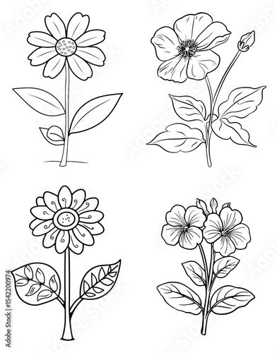 Four black and white flower line drawings are depicted on a white background