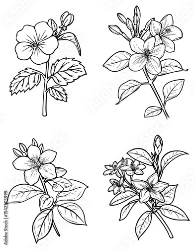 Four flower drawings each featuring detailed petals leaves and stems in a simple blackandwhite design