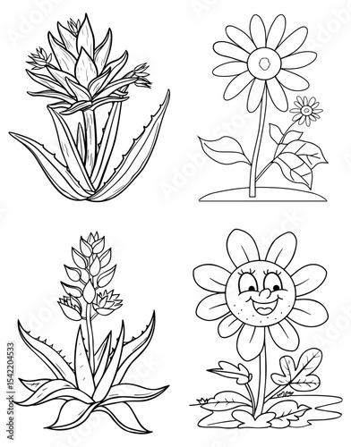 Four flower line drawings in a grid two aloe vera plants two daisylike plants