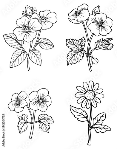 Four flower sketches feature line art of varying floral species and leaf arrangements
