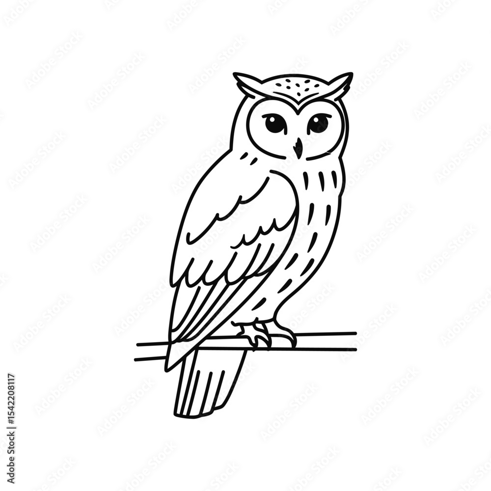 Fototapeta premium owl sitting on branch