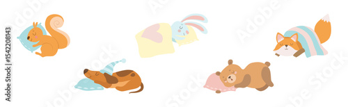 Cute Sleeping Animal Character on Soft Pillow Vector Set