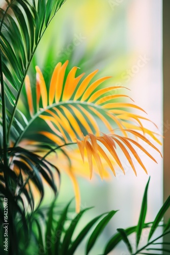 Close-up of vibrant palm fronds, bright orange-yellow accents against lush green foliage