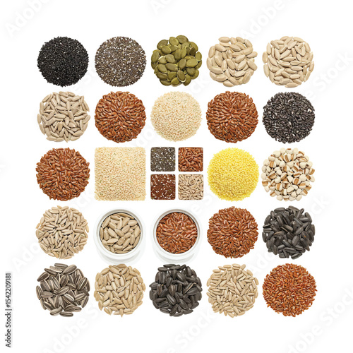 different kinds of lentils