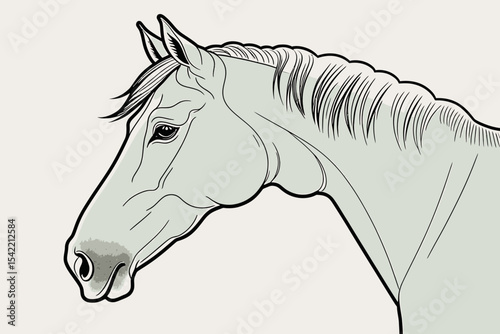 Horse Head Illustration-Equine Portrait Art-Elegant Animal Drawing-Detailed Horse Profile-Gray Horse Artwork-Digital Illustration for Horse Lovers