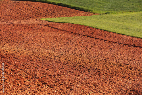 Contrasting fields of red soil and green crops
