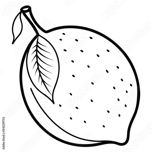 Line drawing of a lemon isolated on white background