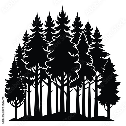 Silhouette of a dense cluster of tall oak and pine trees
