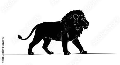 The majestic silhouette of a lion walking proudly. 