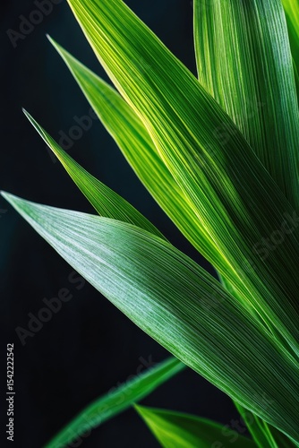 Close-up of vibrant green leaves with yellow highlights