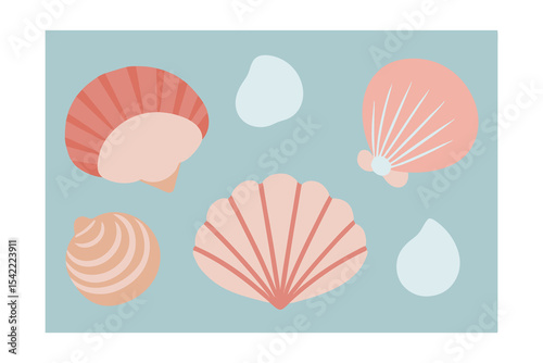 vector illustration of seashells